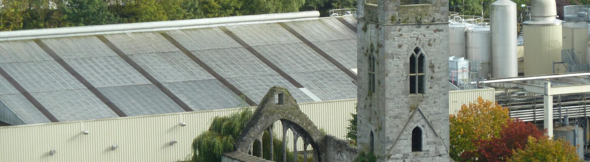 St Francis Abbey Brewery