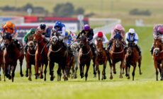 curragh horse