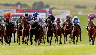 curragh horse