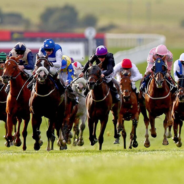 curragh horse
