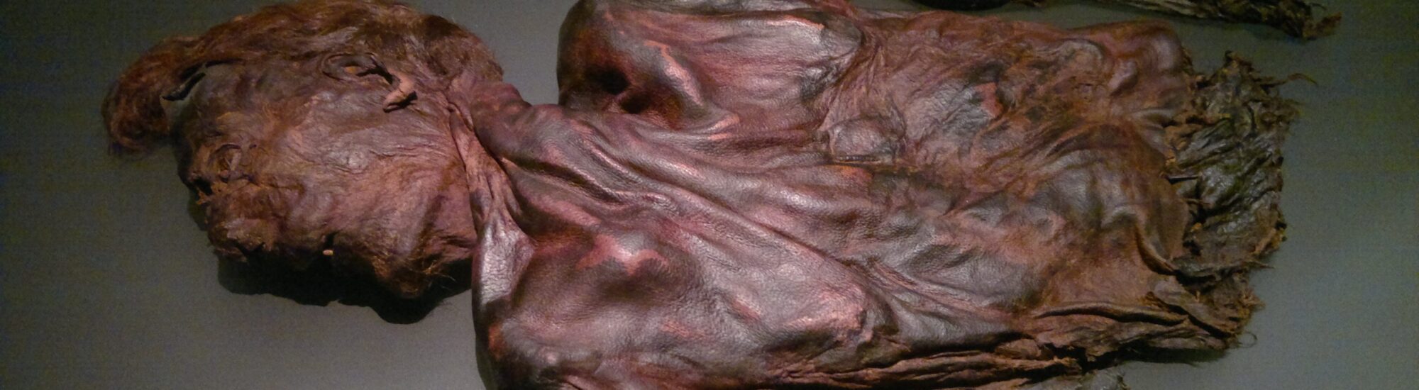 Irish bog bodies