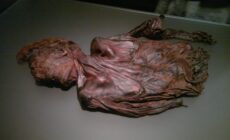 homme de clonycavan scaled