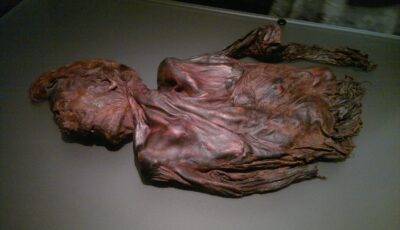 homme de clonycavan scaled