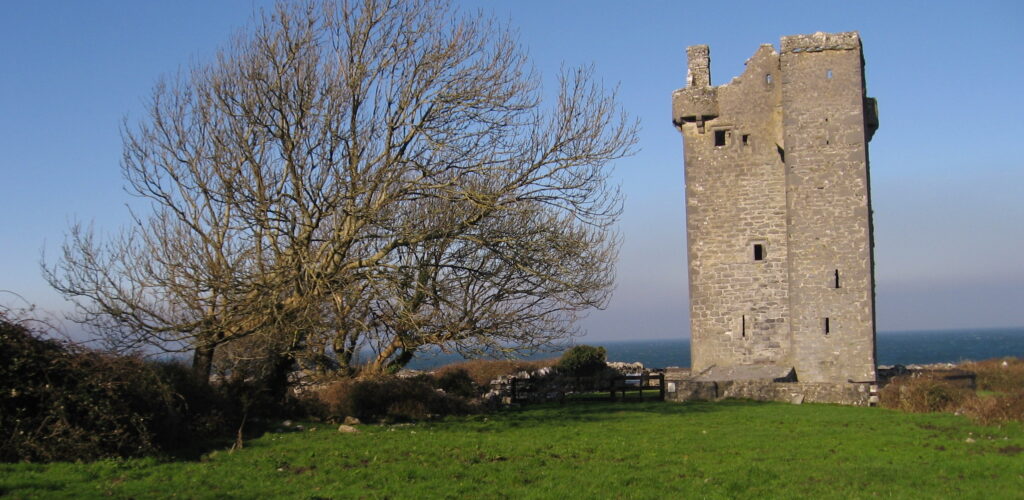 Gleninagh Castle Castle in Ireland •