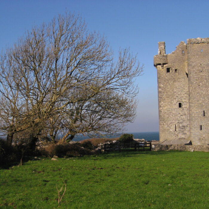 gleninagh castle 2
