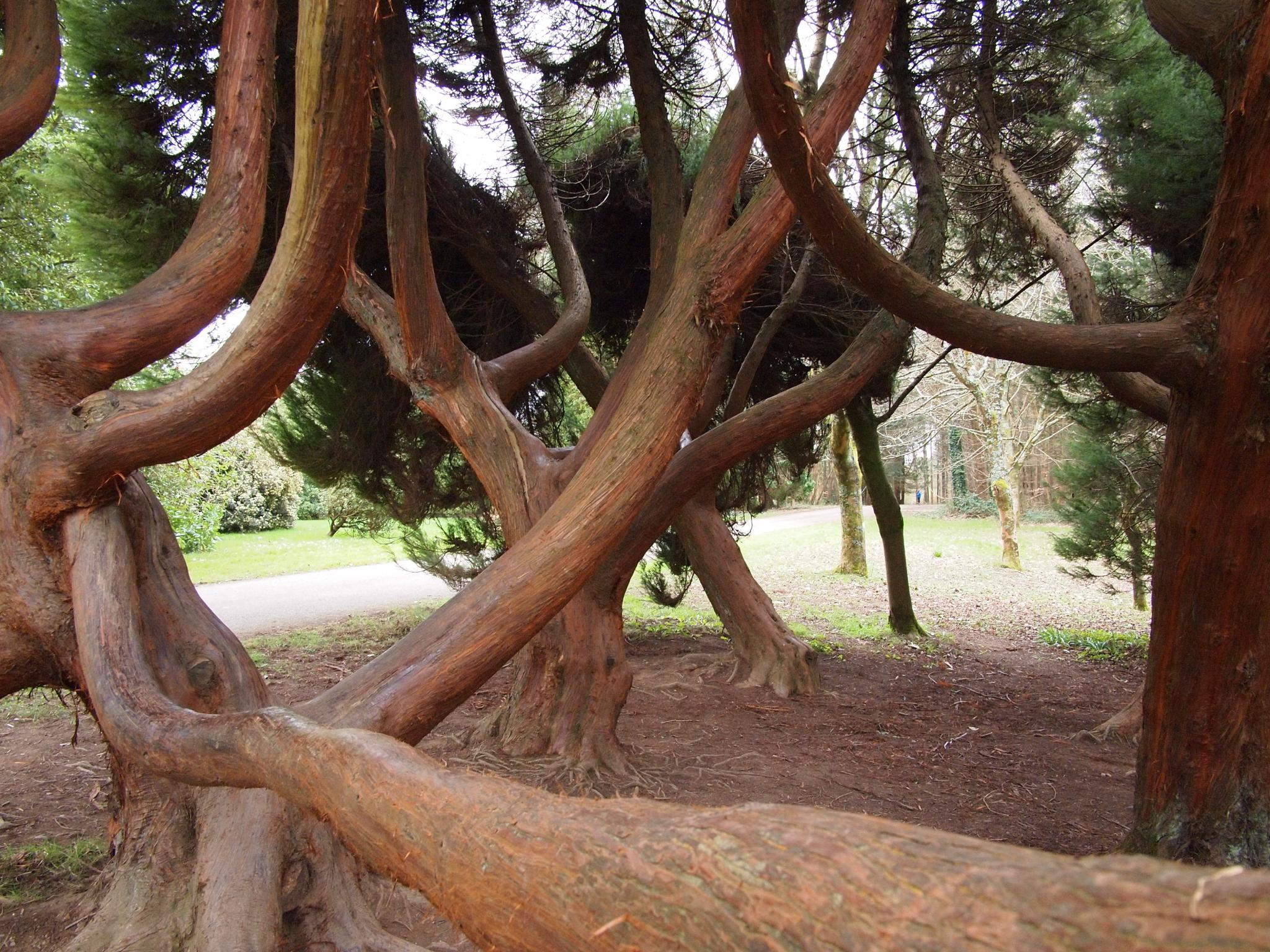 Arboretum John Fitzgerald Kennedy - <a href=