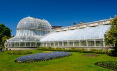 Botanic Belfast Gardens - © Stephen
