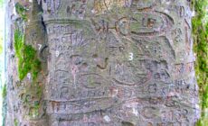coole park 2 scaled