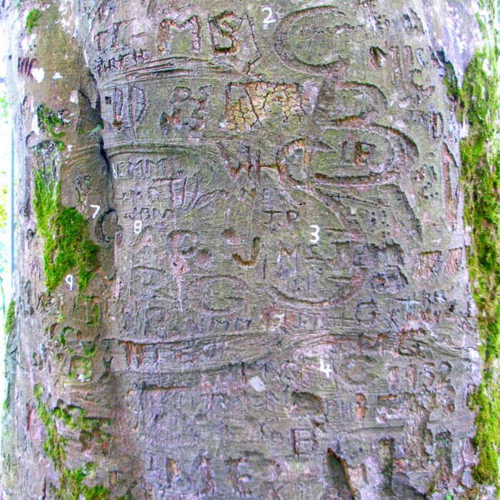 coole park 2 scaled