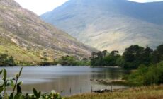 delphi pass