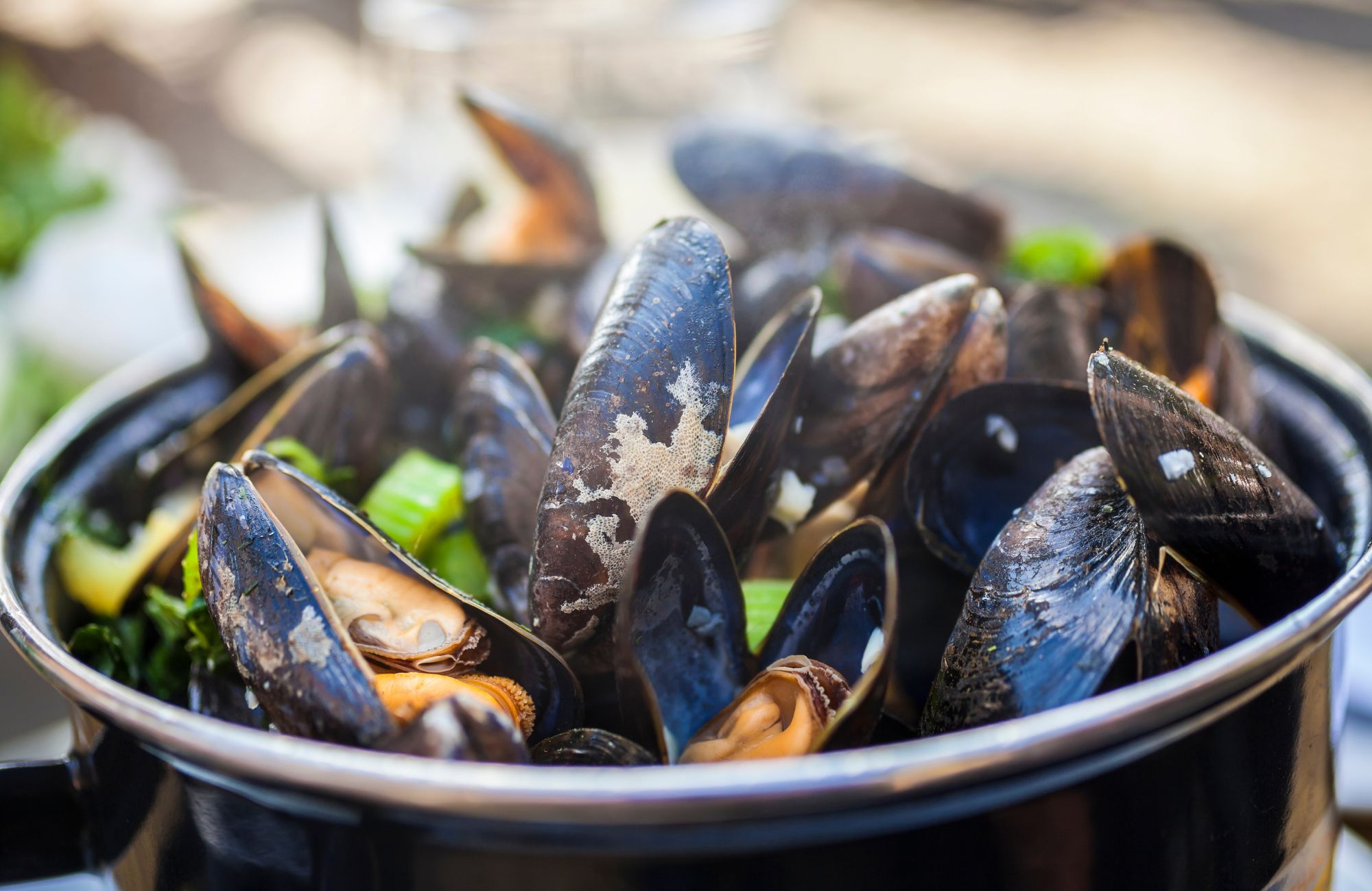 Des moules irlandaises - © Darren Baker