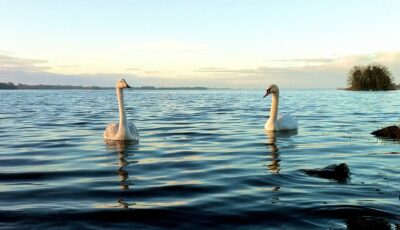 lough ennell 1
