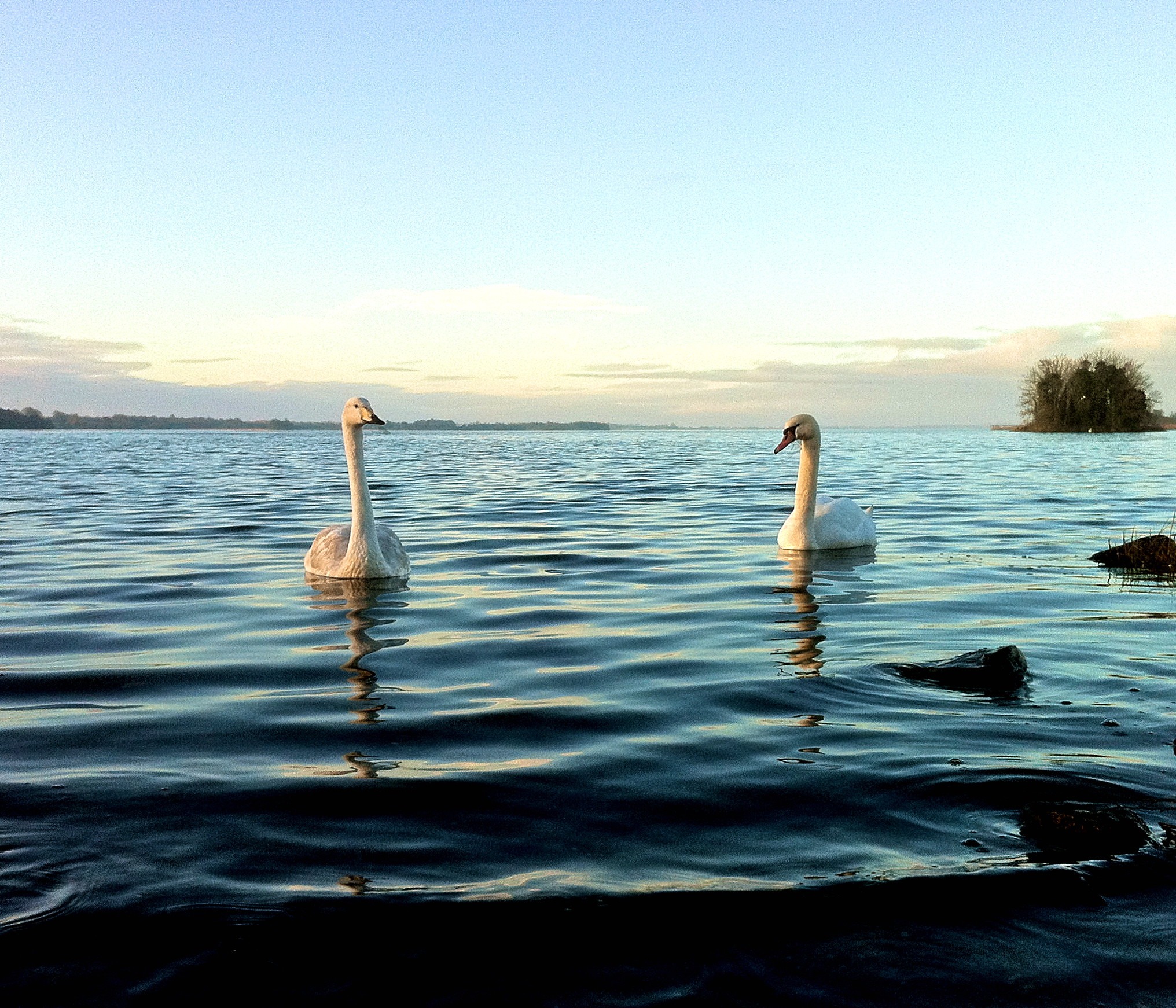 Le Lough Ennell -  Fiona MacGinty-O’Neill - cc