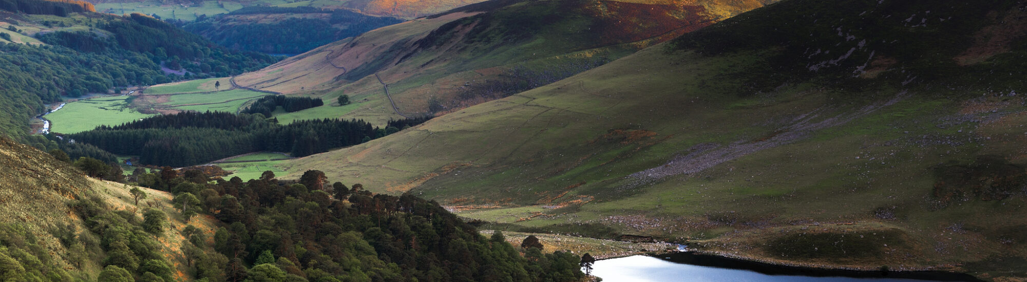The Wicklow Mountains