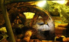 glengowla mines scaled