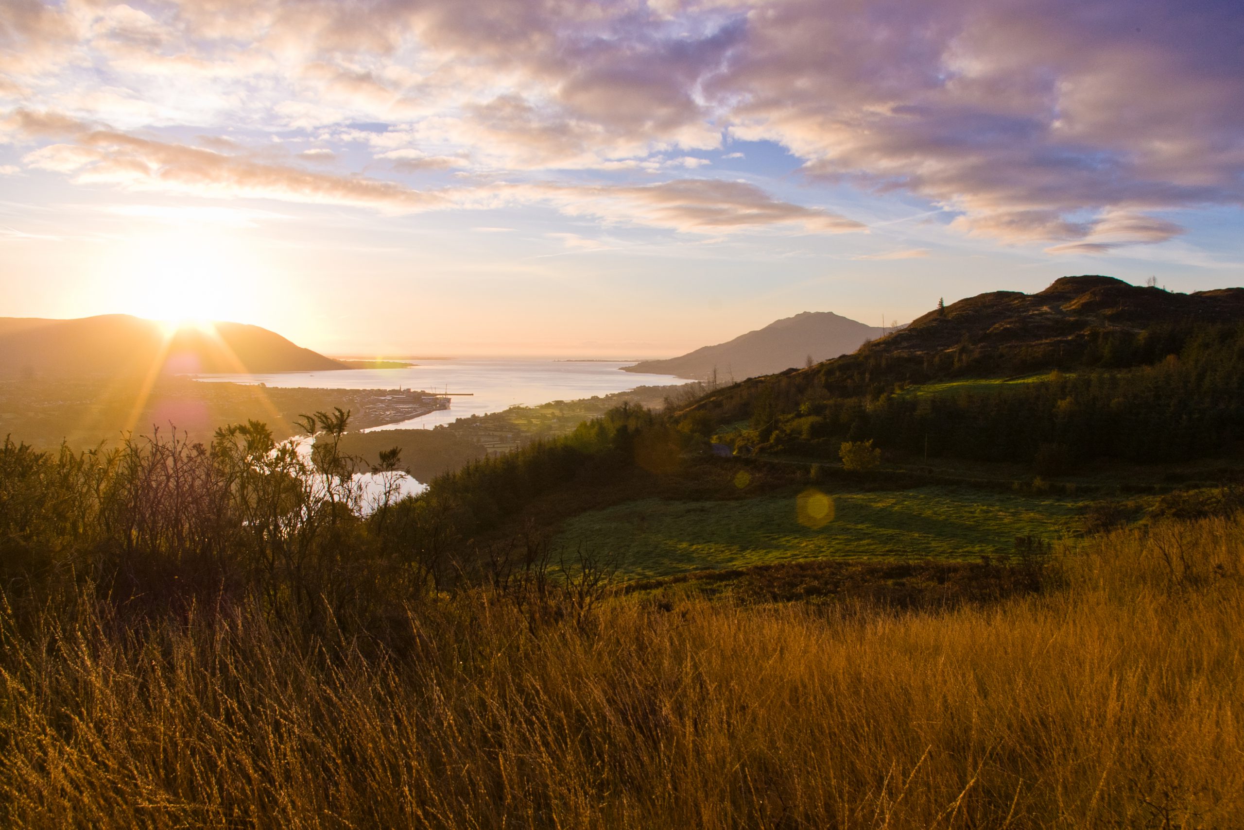 Vue sur le Ring of Gullion - cranneyanthony - cc