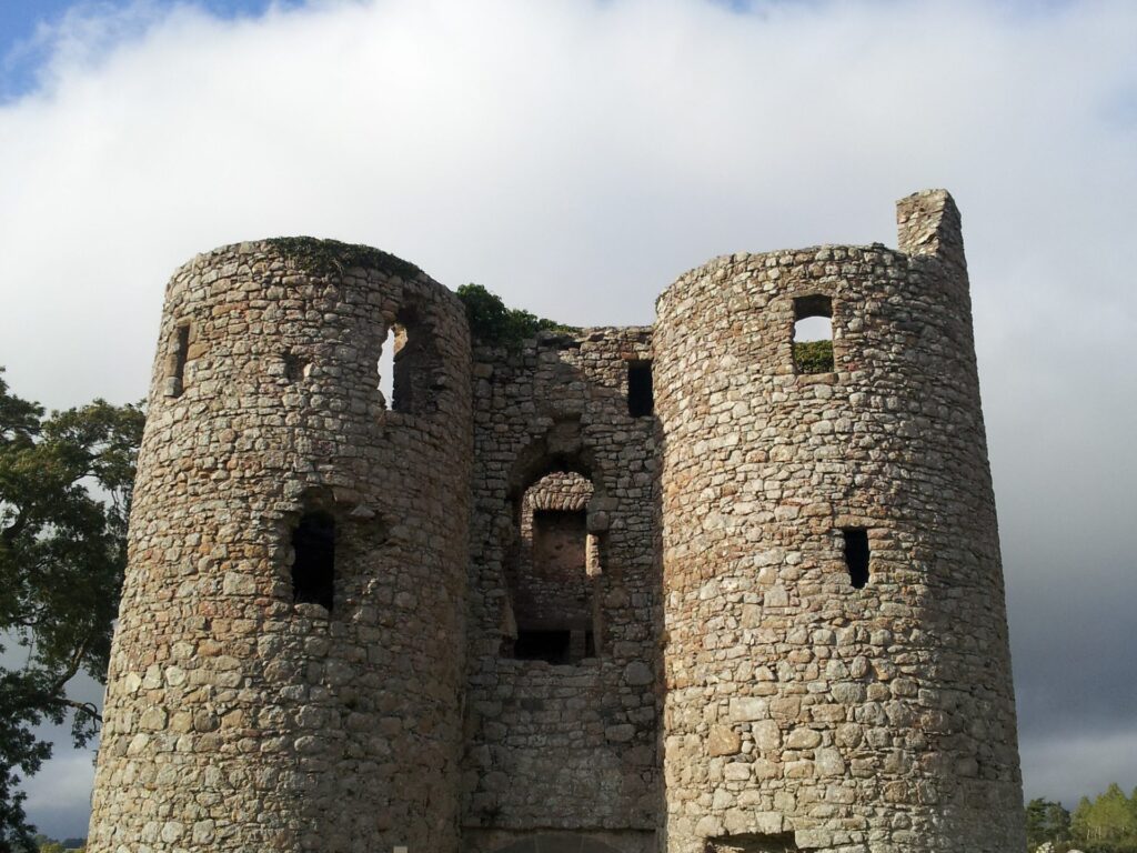 ballyloughan castle scaled