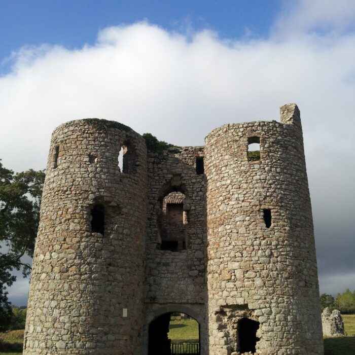ballyloughan castle scaled