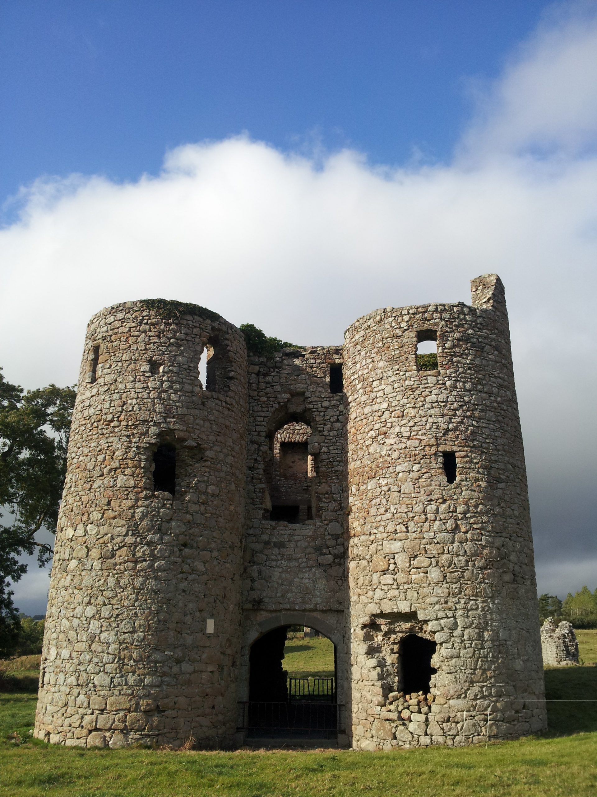 Le Ballyloughan Castle - VisionsofthePast - cc