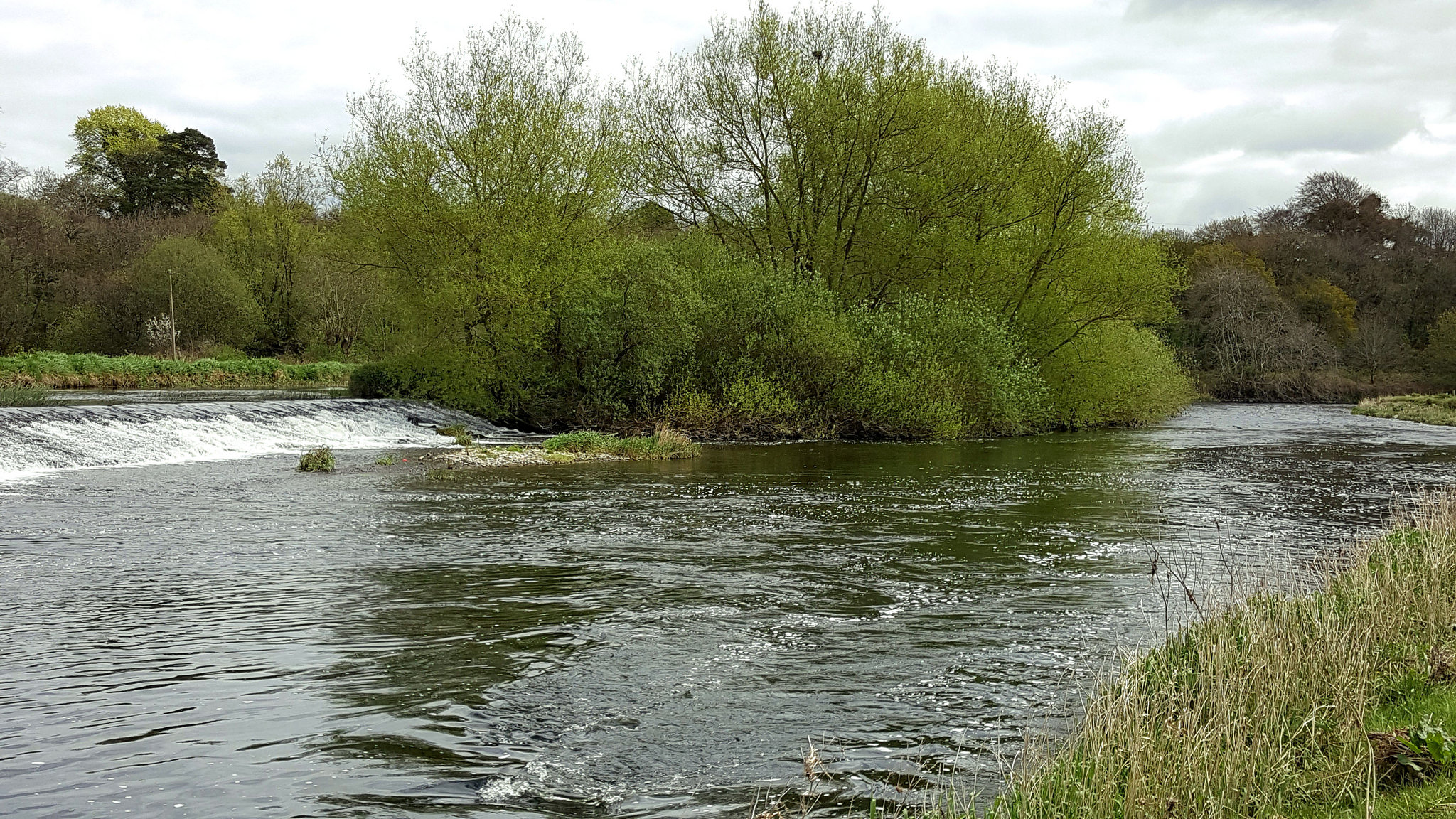 La rivière Barrow - Liam Lysaght - cc
