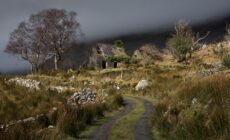 black valley