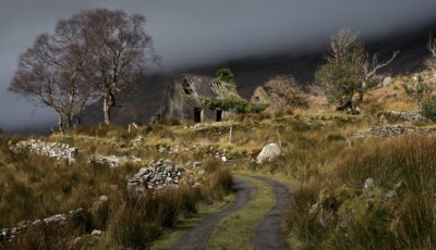 black valley