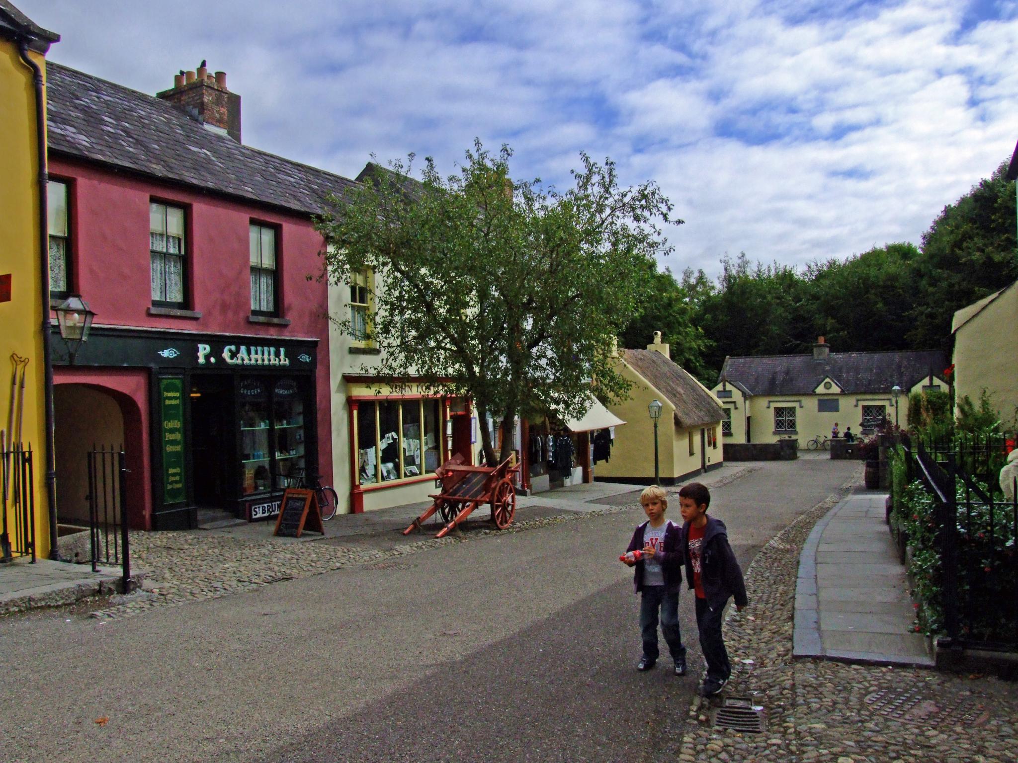 Le village du Bunratty Folk Park - nz_willowherb - cc
