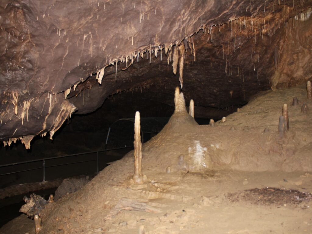 Crag Cave Irish cave • Go to