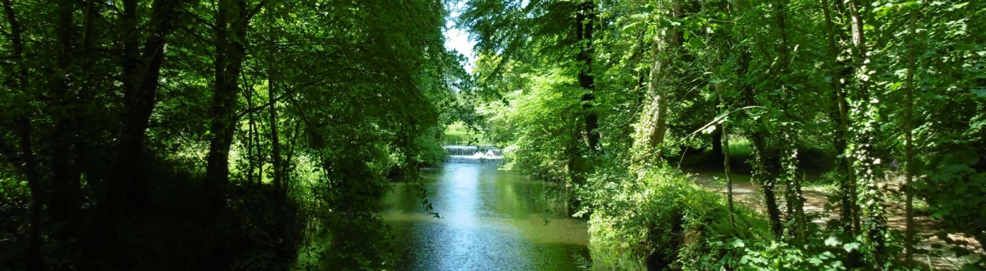 Doneraile Wildlife Park