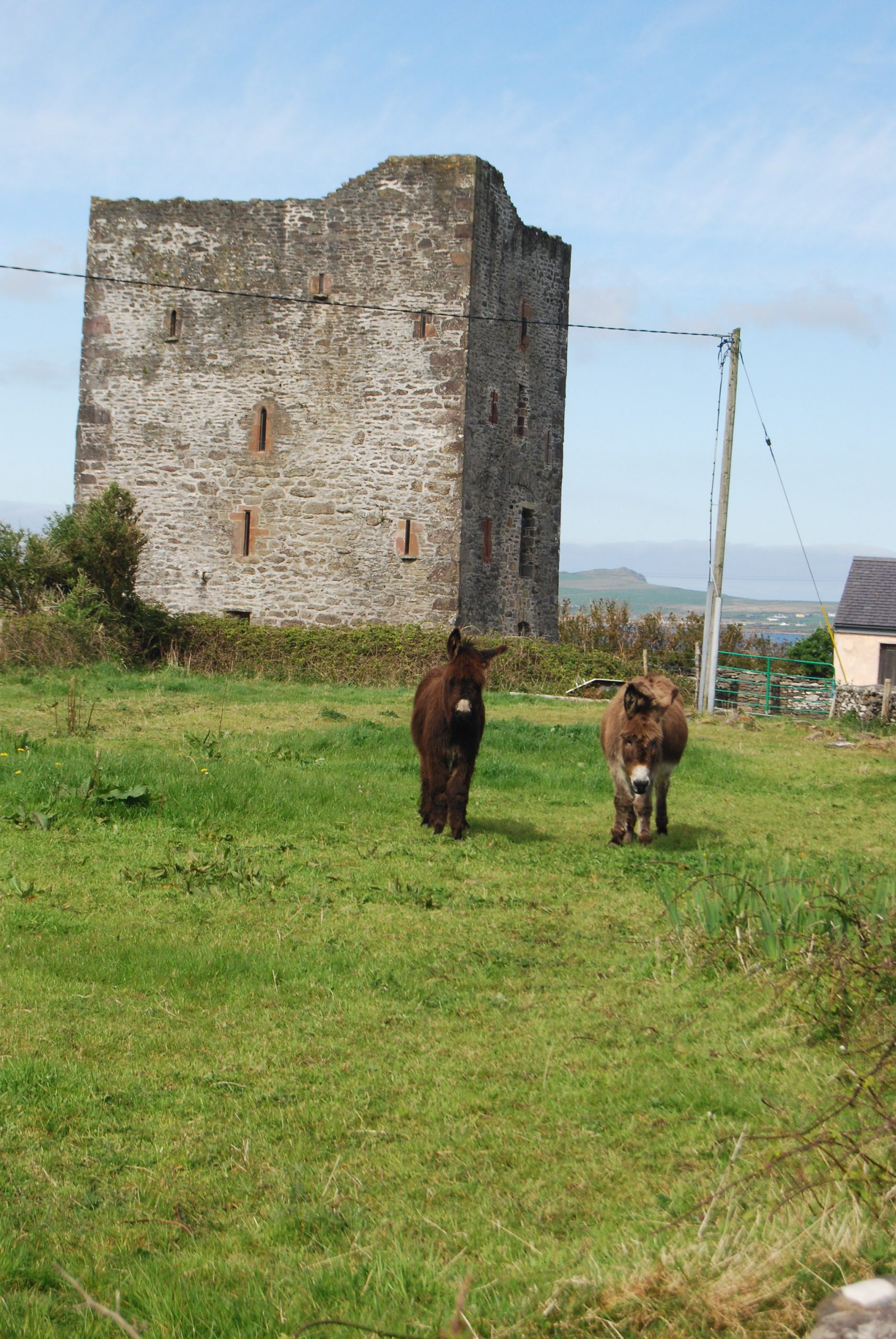 Le Gallarus Castle - <a href='https://www.flickr.com/photos/jemartin03/14154367519/' target='_blank' rel=