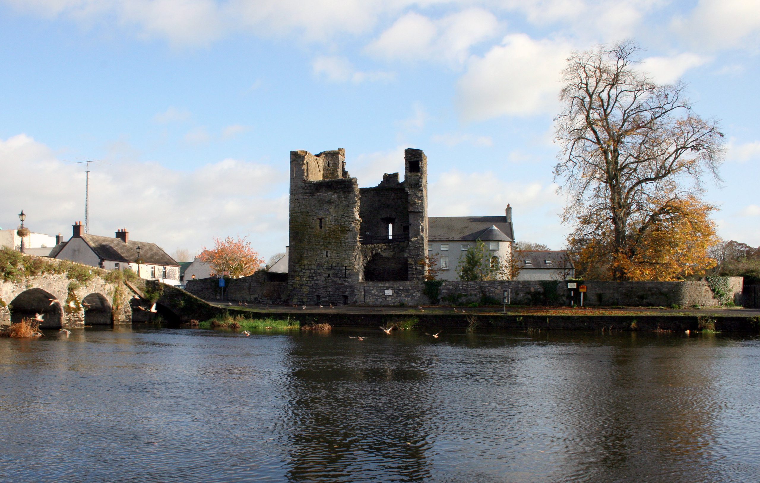 Le Leighlinbridge Castle - Domaine public