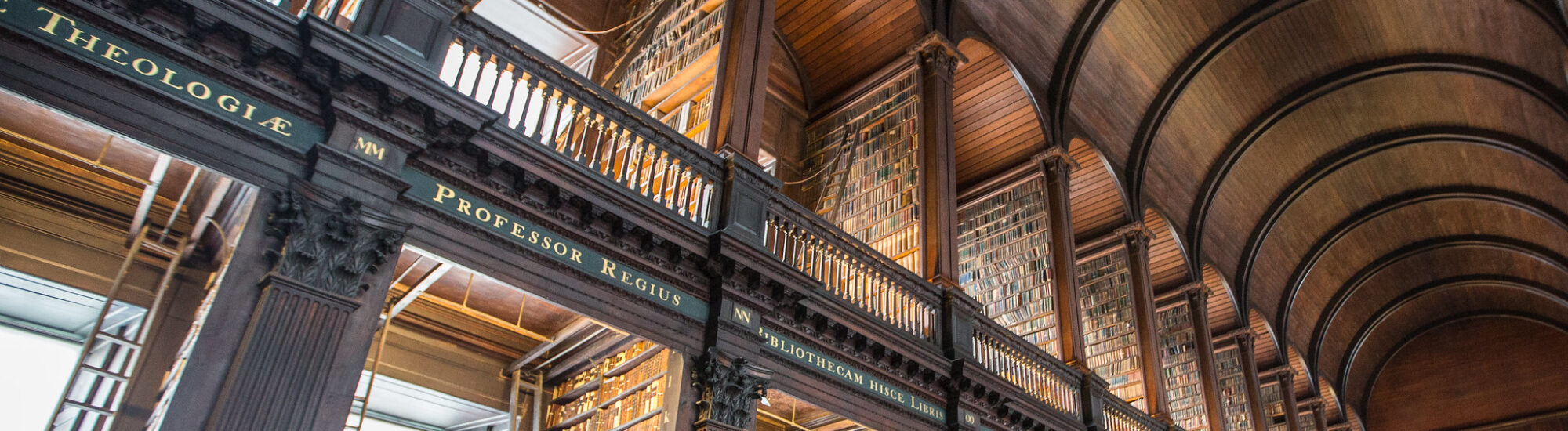 Irish libraries