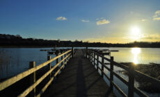 lough erne 1