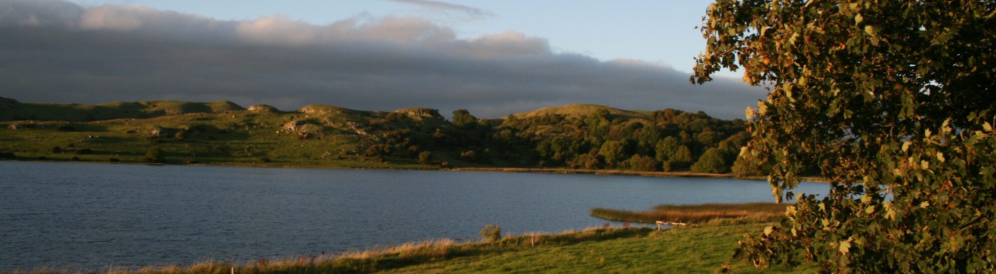 Lough Gur