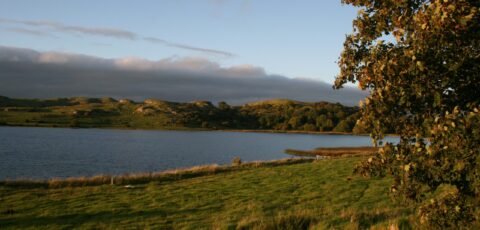 lough gur 1 scaled