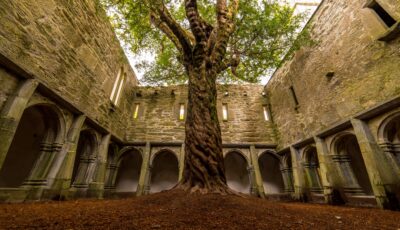 muckross abbey 3
