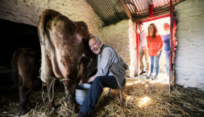 The Muckross Farms - ©Trustees of Muckross House