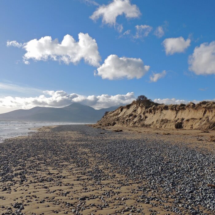 murlough national nature reserve