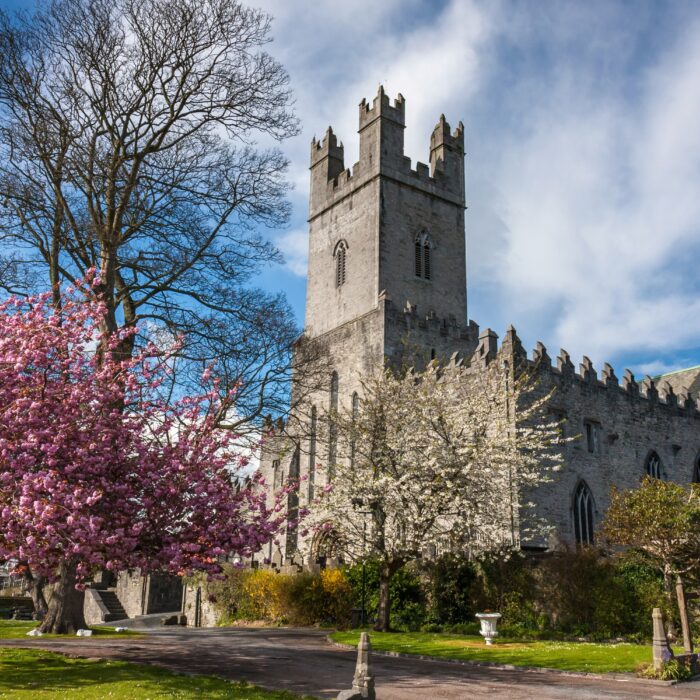 st marys cathedral
