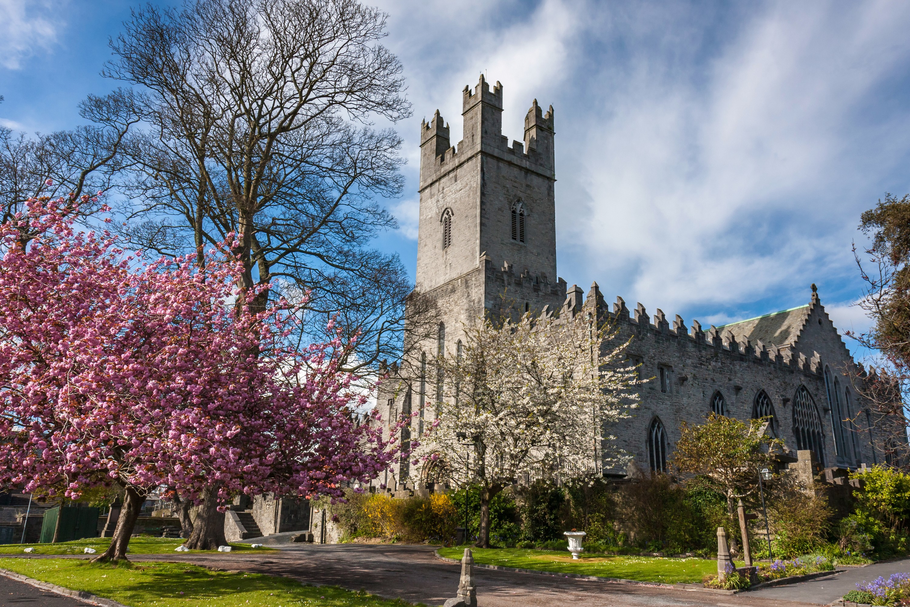 La St Mary’s Cathedral de Limerick - © peteleclerc