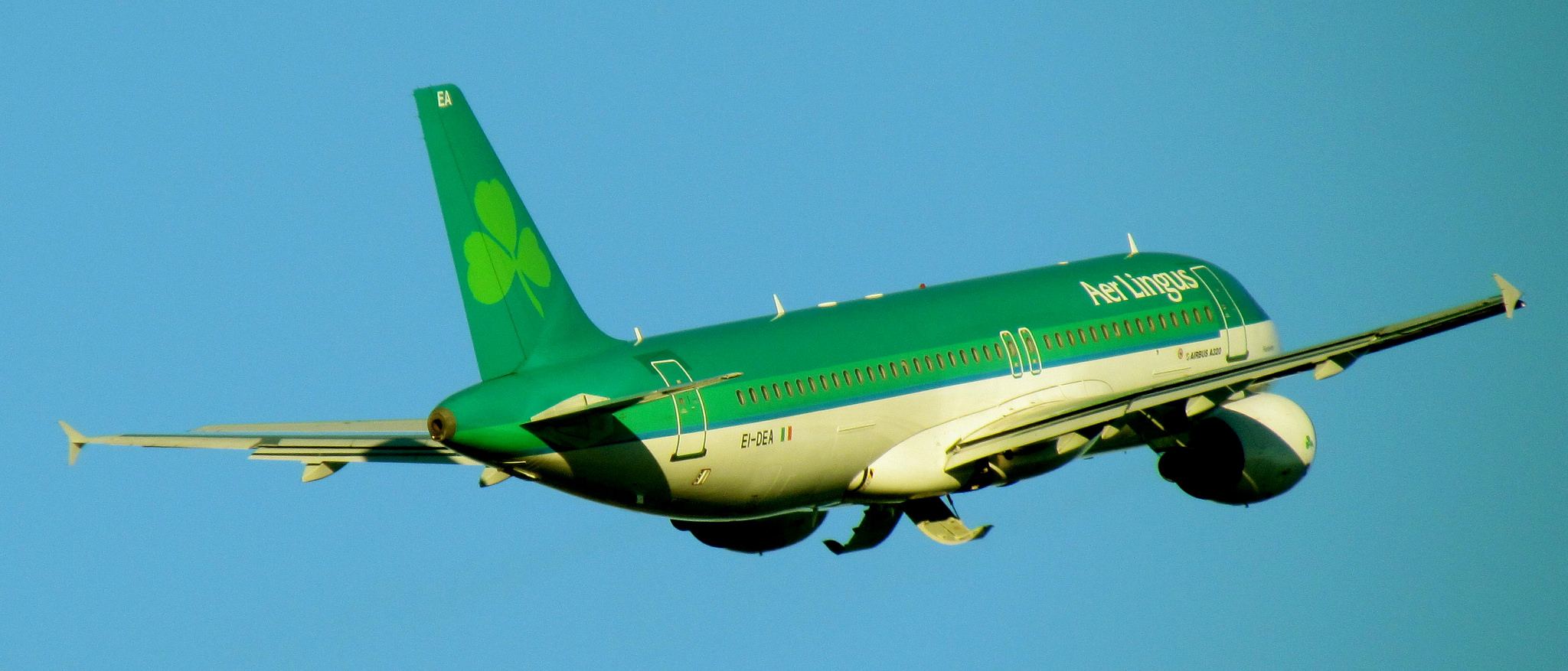 Un avion Aer Lingus - Ozzy Delaney - cc