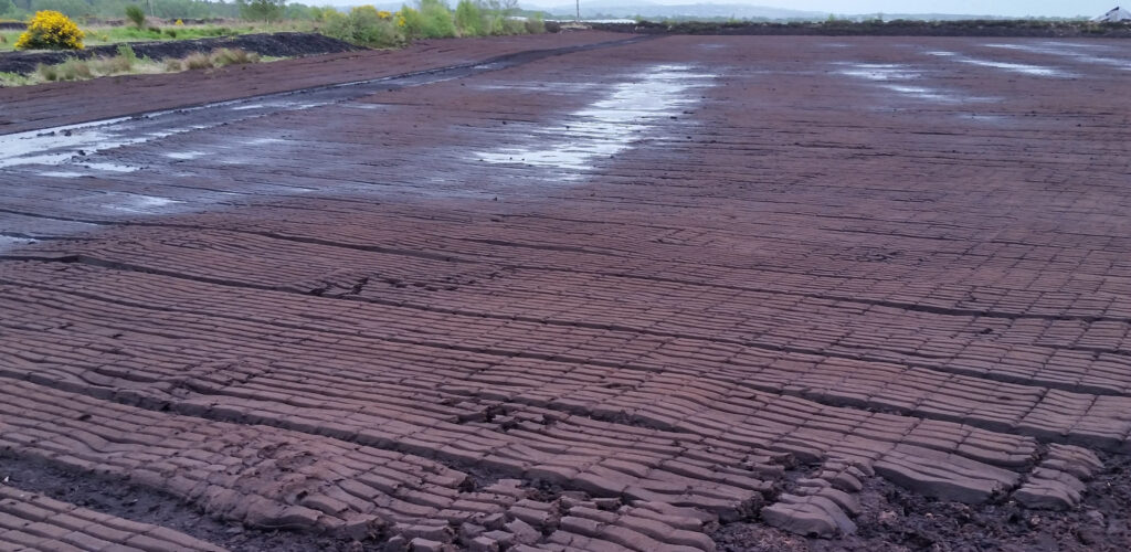 bog of allen