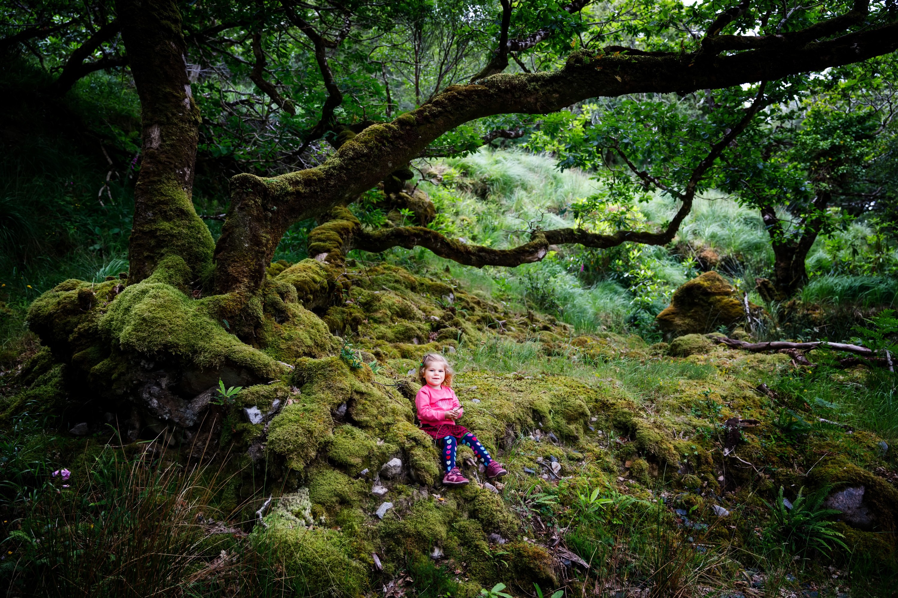 Un changeling - © Irina Schmidt