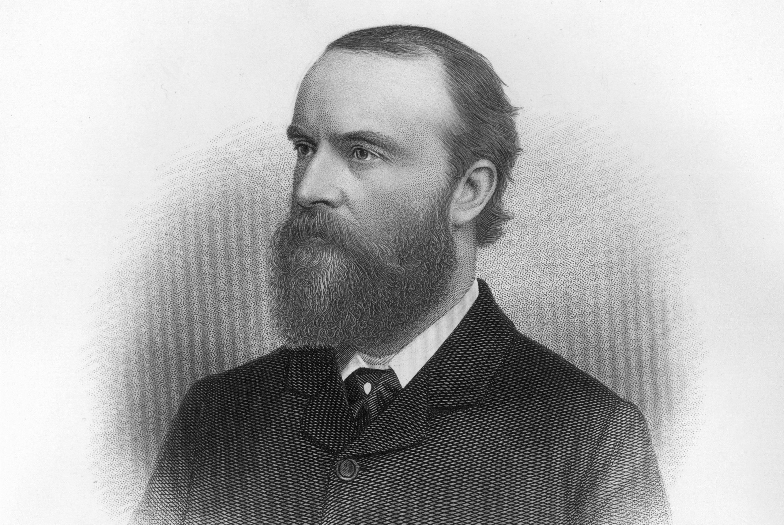 Charles Stewart Parnell - Domaine public