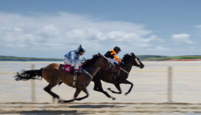 A horse race - cosmo_71 - cc