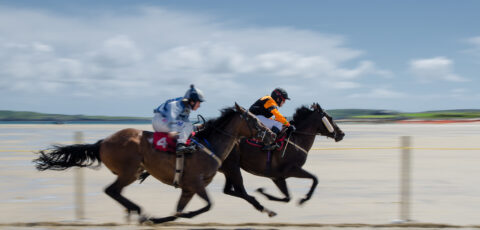 course hippique 1