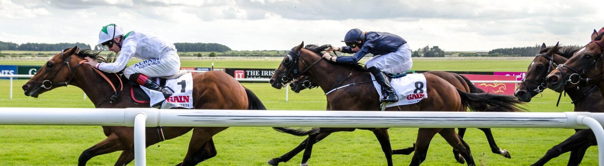 Irish racecourses