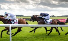 courses hippiques