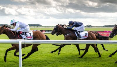 courses hippiques