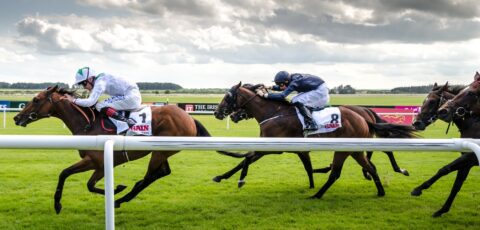 courses hippiques